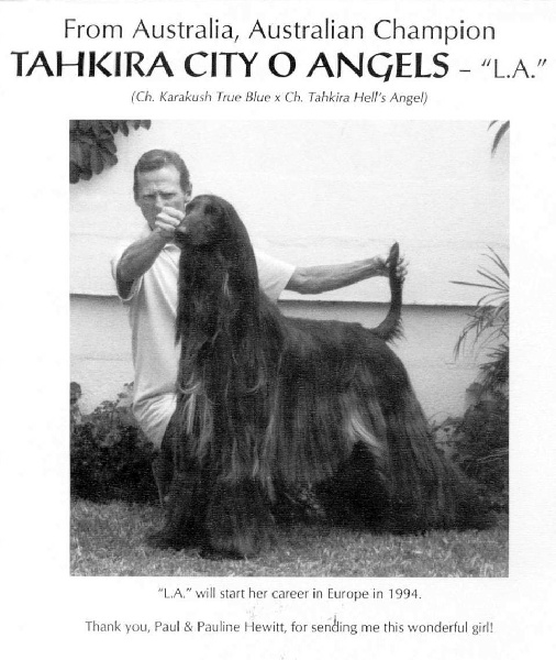 CH. tahkira City o angels dite l.a